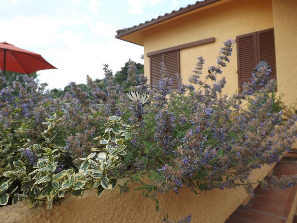 Rifugio Al Sole Villa Реджело Екстериор снимка